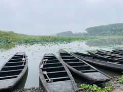 -洪湖生态旅游区