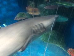 -泉州海丝野生动物世界