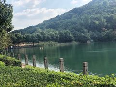 -田园东方蜜桃村的田野营地