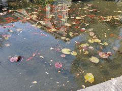 -南通濠河风景名胜区-钟楼谯楼