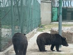 -郑州市动物园