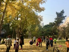 -辽宁大学(崇山校区)