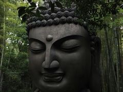 -杭州植物园