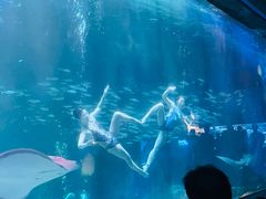 -海合安成都极地海洋公园