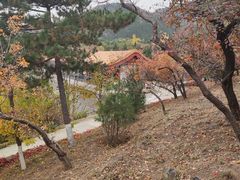 -北京十三陵国家森林公园蟒山景区