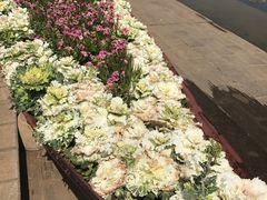 -洛龙公园