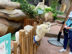 -杭州开元森泊度假乐园