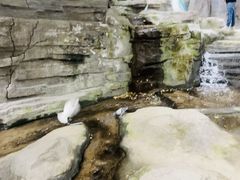 -中国翰园碑林