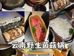 -芸山季·云南山珍菌火锅(人民广场来福士店)