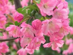-浦江二号·独栋江景餐厅(滨江大道店)