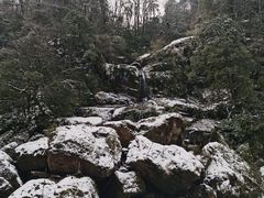 -龙苍沟森林公园