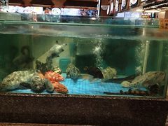 -聚福宝合苑食府(南头镇店)