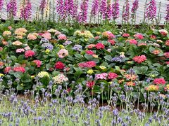 -龙环葡韵住宅式博物馆