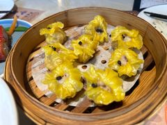 -点都德·毕德寮