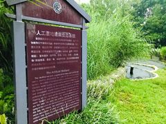 -成都市活水公园
