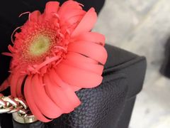 -桂林市花鸟市场