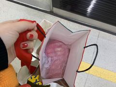 -LELECHA乐乐茶(新街口大洋店)