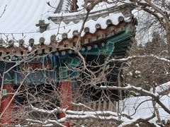 -颐和园