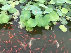 -西海子公园