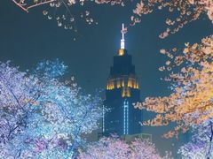 -西北湖绿化广场