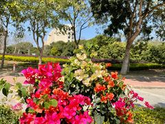 -风云岭森林公园