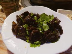 凉拌黑木耳-润泽园椰子鸡(汇一城店)