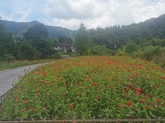 -石台牯牛降景区
