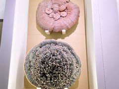 -北京中医药大学-中医药博物馆