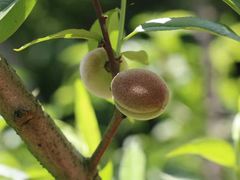 -宾湖农庄·农场特色(太湖龙之梦店)