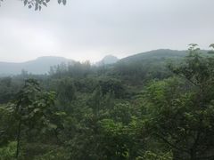 -井塘古村