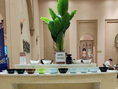 -海南椰子鸡餐厅(三亚湾红树林店)