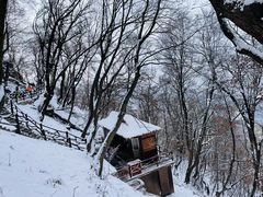 -终南山国家森林公园