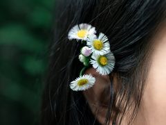 -桤木河湿地公园