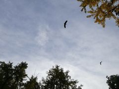 -苏州河梦清园环保主题公园