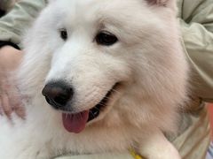 -和它·交个朋友·狗咖猫咖(爱琴海店)