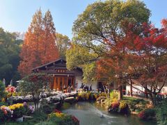 -杭州植物园