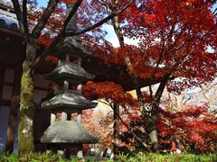 -常寂光寺