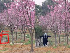 -三圣花乡旅游区