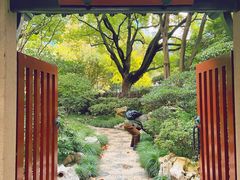 -静安公园(静安寺街道)