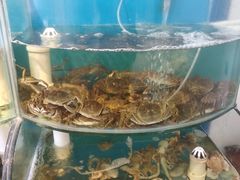 水产区-同道蒸汽海鲜烧烤自助(刘庄夜市店)