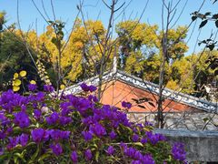-乌山风景区