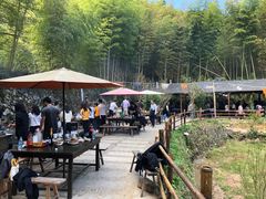 -宁波浙东大竹海景区