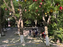 -天目湖山水园
