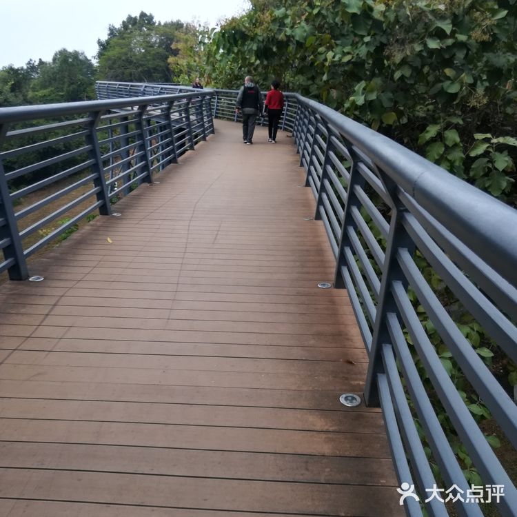 广州黄埔主题公园——广州科学城体育公园