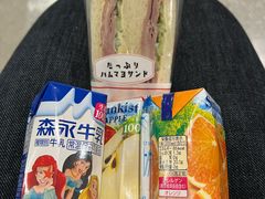 -关西机场 JR ticket office(Kansai Airport)