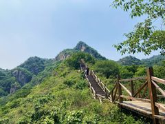 -大岭沟猕猴桃谷风景区