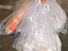 -河记肠粉店