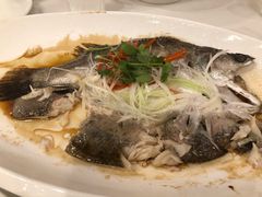 -鑫皇朝酒店(建设一路店)