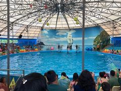 -尼莫海豚馆