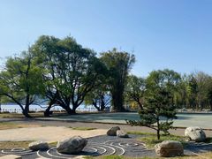 -阳宗海湿地